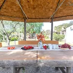 ヴィラ Clicksardegna Luxury Elike With Private Pool With Patio And Barbecue Area *