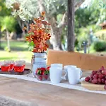 Villa Clicksardegna Luxury Elike With Private Pool With Patio And Barbecue Area Surigheddu
