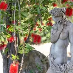 Clicksardegna Luxury Elike With Private Pool With Patio And Barbecue Area Surigheddu